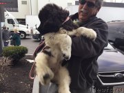 Превью фото № 232135