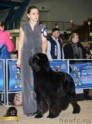 Превью фото № 232138