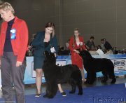 Превью фото № 232222