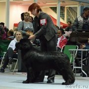 Превью фото № 232260