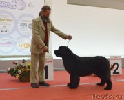 Превью фото № 232269