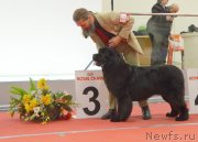 Превью фото № 232270