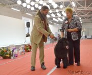 Превью фото № 232271