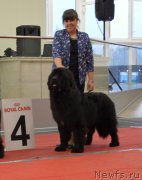 Превью фото № 232276