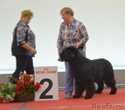 Превью фото № 232279