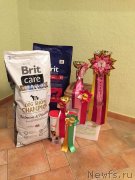 Превью фото № 232320