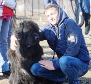 Превью фото № 232323