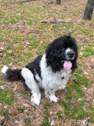 Превью фото № 232394