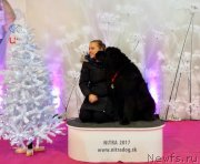 Превью фото № 232396