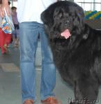 Превью фото № 23240