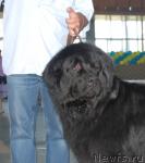 Превью фото № 23241