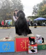 Превью фото № 232445