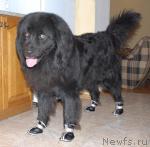 Превью фото № 23257