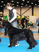 Превью фото № 232620