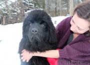 Превью фото № 232624