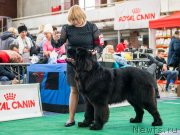 Превью фото № 232638