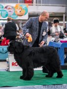 Превью фото № 232640