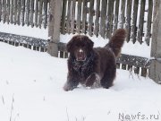 Превью фото № 232692