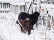 Превью фото № 232693