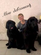 Превью фото № 232721