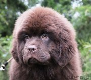 Превью фото № 232736