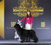 Превью фото № 232756