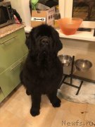 Превью фото № 232767