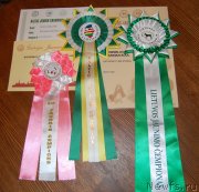 Превью фото № 232771