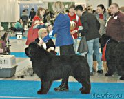 Превью фото № 232798