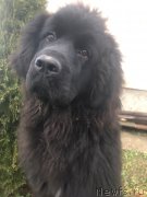 Превью фото № 232822