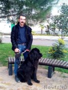 Превью фото № 232831