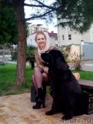 Превью фото № 232832