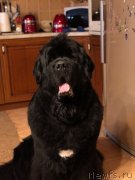 Превью фото № 232899