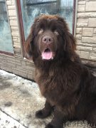 Превью фото № 232912