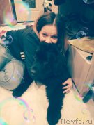 Превью фото № 232954