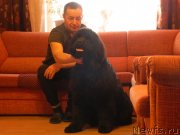 Превью фото № 232999