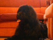 Превью фото № 233000