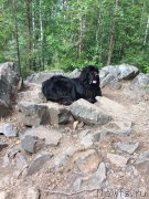 Превью фото № 233023