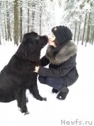 Превью фото № 233025