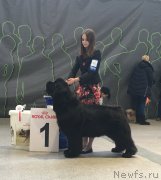 Превью фото № 233069