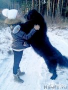 Превью фото № 233086