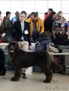 Превью фото № 233102