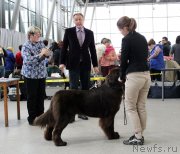 Превью фото № 233104