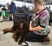 Превью фото № 233106