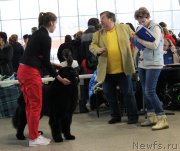 Превью фото № 233111