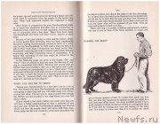 Превью фото № 233157