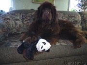 Превью фото № 233270