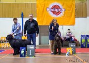 Превью фото № 233323