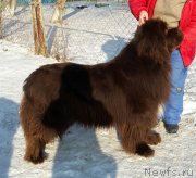 Превью фото № 233563