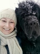 Превью фото № 233577